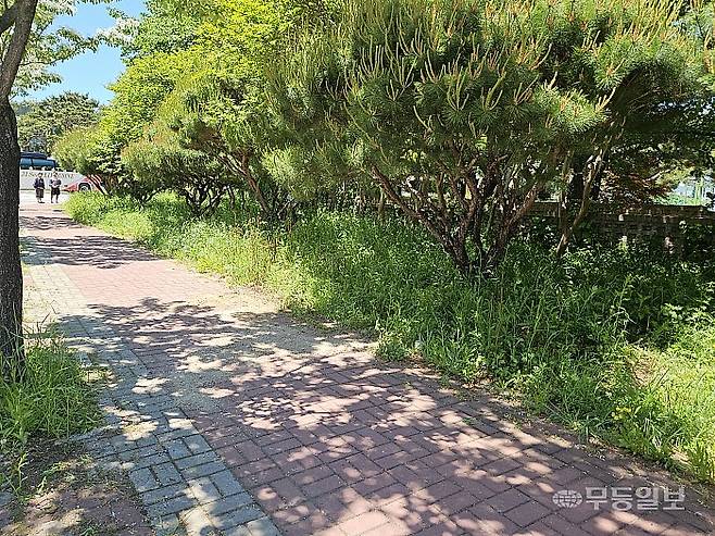 5일 오전 12시11분께 광주 광산구 월계동 한 고등학교 앞 인도에서 고등학생 2명이 괴한에게 피습당했다. 사진은 혈흔 자국을 가리기 위해 사건 현장에 모래가 뿌려진 모습. 강주비 기자