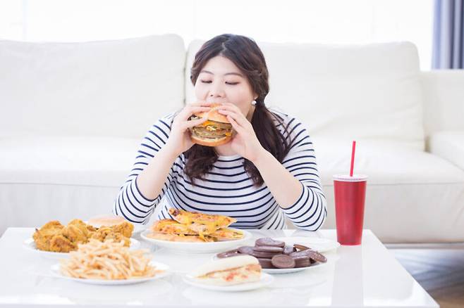 지방이 많은 음식을 자주 먹으면 유익균 생태계를 망가뜨리고 유해균을 증식시켜 장 건강을 악화시킬 수 있다. 사진=클립아트코리아