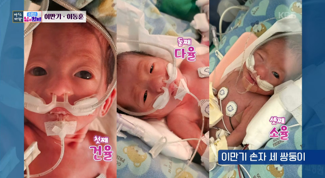 천하장사 출신 이만기가 세 쌍둥이 할아버지가 된 소식을 전했다. 사진= KBS 1TV ‘아침마당’