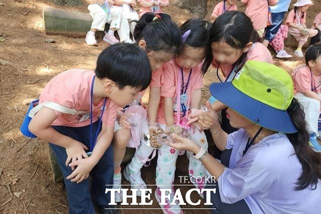 '유아숲체험' 프로그램에 참여한 아이들이 곤충을 관찰하며 자연을 체험하고 있다. /부천시
