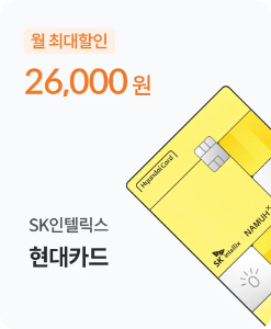 SK인텔릭스-현대카드 제휴카드