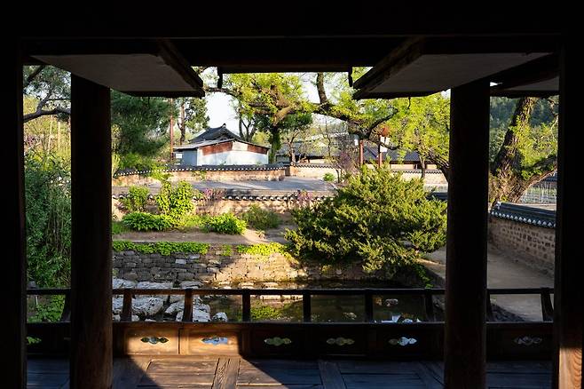 경북 영양군 연당마을 서석지 경정에서 바라본 연못과 보호수.