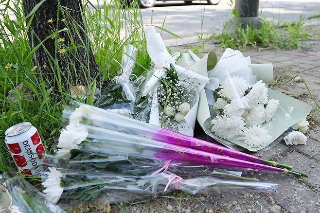 일면식도 없는 20대 남성이 휘두른 흉기에 고등학교 2학년생이 숨진 광주 광산구 월계동 한 보행자 도로에 6일 국화가 놓여 있다. 광주=뉴시스