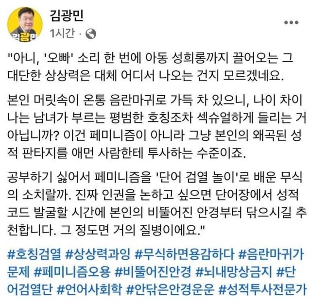 김광민 민주연구원 부원장의 글. 김광민 민주연구원 부원장 페이스북 캡처