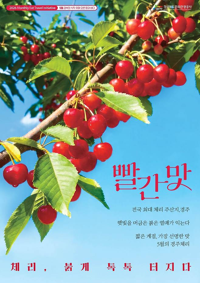 5월 METI포스터.[경북문화관광공사 제공]