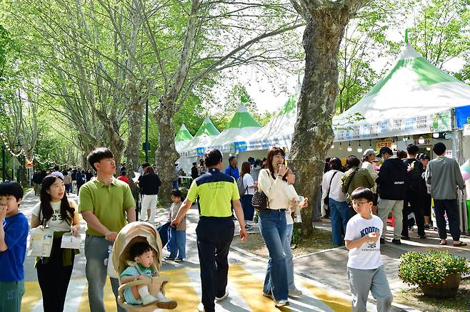 담양 대나무축제 관광객 [담양군 제공. 재판매 및 DB 금지]