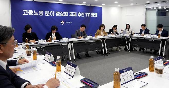 고용노동분야 정상화 추진 TF 회의. /제공=고용노동부