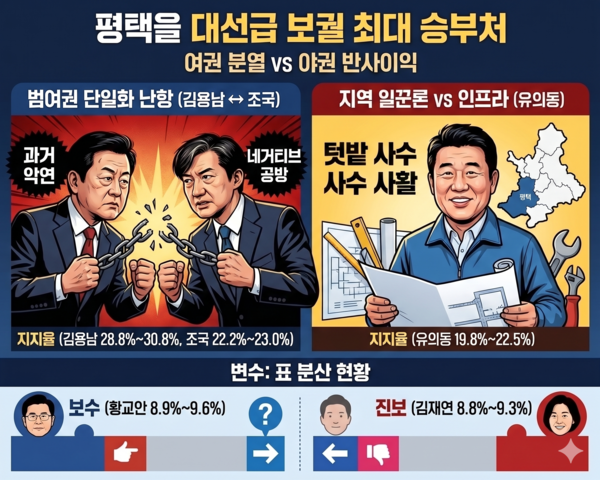6·3 재보궐선거 경기 평택을 인포그래픽 /구글 나노바나나 생성