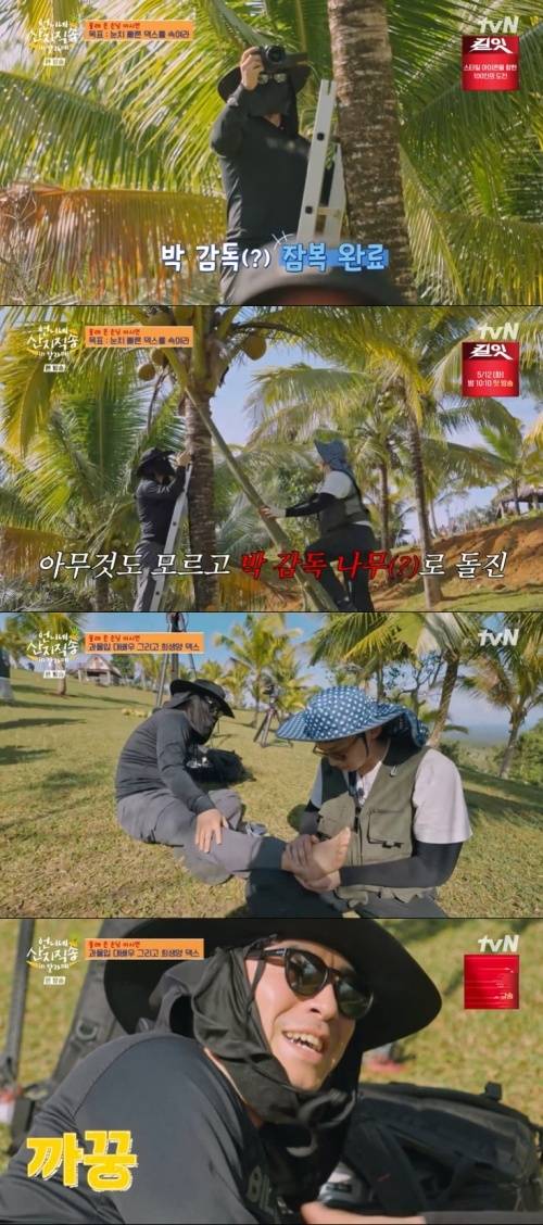 tvN '언니네 산지직송' 화면 캡처