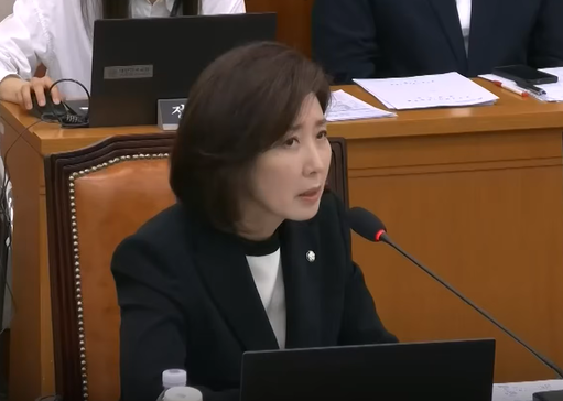 6일 국회에서 열린 법제사법위원회에서 나경원 국민의힘 의원이 발언하고 있다./사진=MBN 캡처