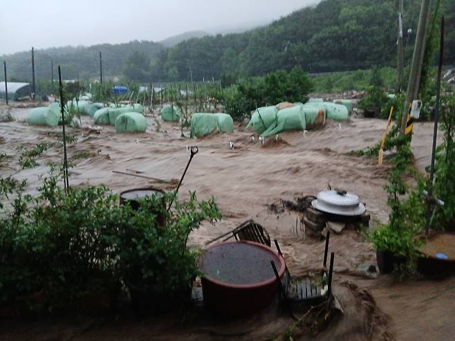 충남 예산군 봉산면에서 산사태로 떠밀려온 흙더미가 한 축사를 덮쳐 소가 매몰돼 있다.[연합]