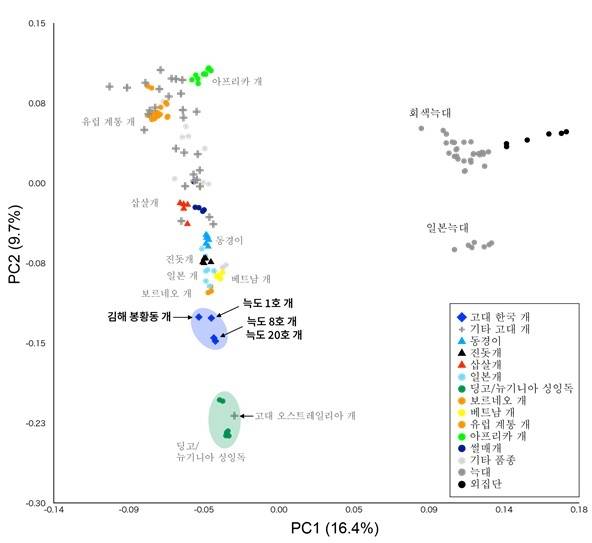고대 한국 개와 다른 개과 동물과의 관계 비교  [국립가야문화유산연구소 제공. 재판매 및 DB 금지]