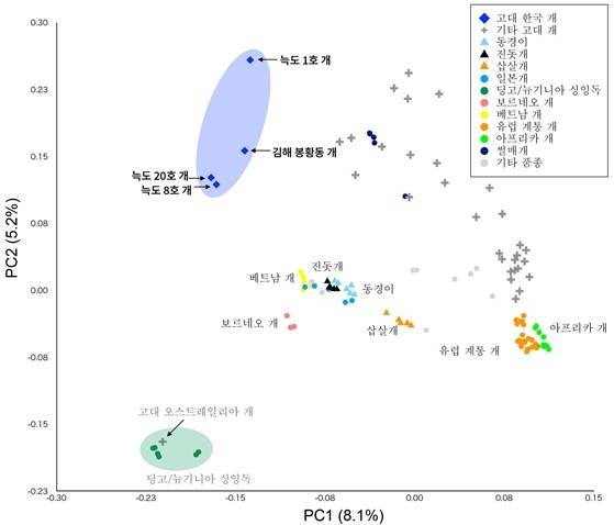 고대 한국 개와 다른 개들과의 관계 [국립가야문화유산연구소 제공. 재판매 및 DB 금지]