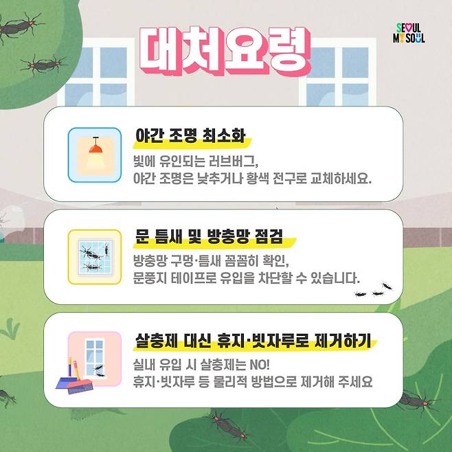 '러브버그' 대처 요령 [서울시 제공. 재판매 및 DB 금지]
