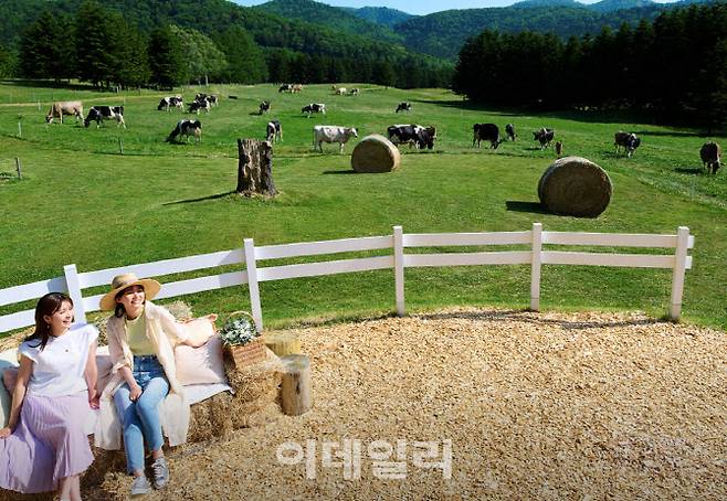 홋카이도 리조나레 토마무의 목장 (사진=호시노 리조트)