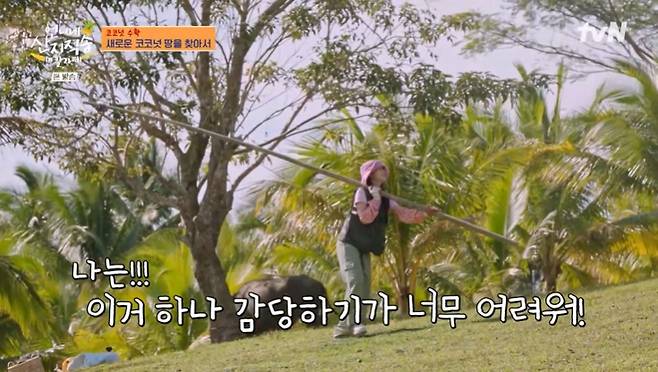 tvN '언니네 산지직송' 화면 캡처