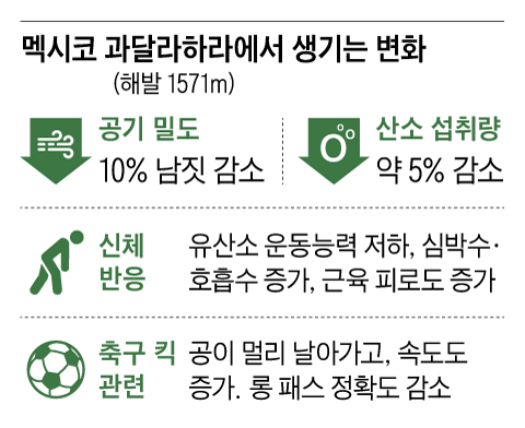 그래픽=백형선