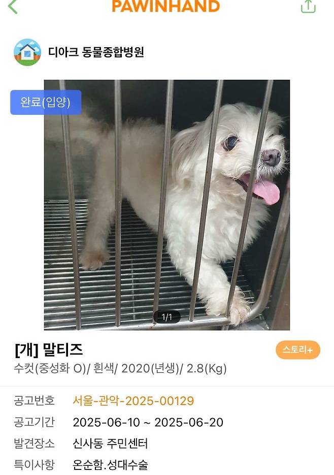 유기견이었던 뭉뭉이의 입양 공고 사진(인스타그램 moong.x2 제공) ⓒ 뉴스1