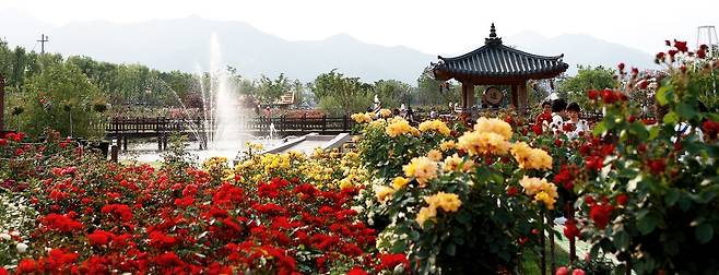 곡성세계장미축제 전경 (사진=곡성군청)