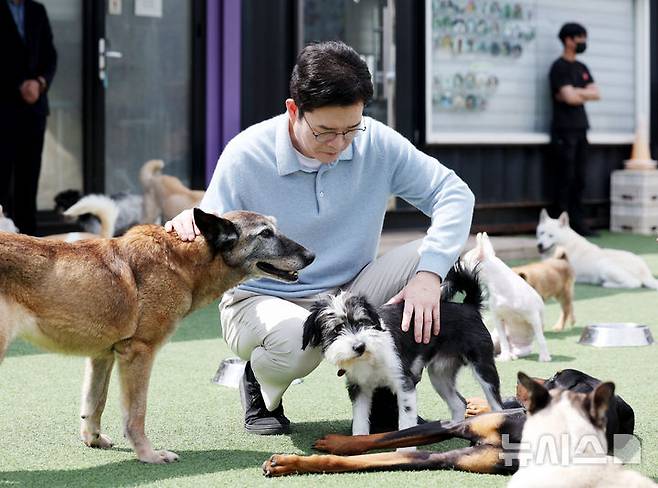 [서울=뉴시스] 김진아 기자 = 정원오 더불어민주당 서울시장 후보가 10일 서울 동대문구 도그어스플래닛에서 진행된 '정원오가 간다-찾아가는 서울人터뷰 반려동물편'에서 김효진 도그어스플래닛 대표와 강아지들의 상태를 살피고 있다. 2026.05.10. bluesoda@newsis.com