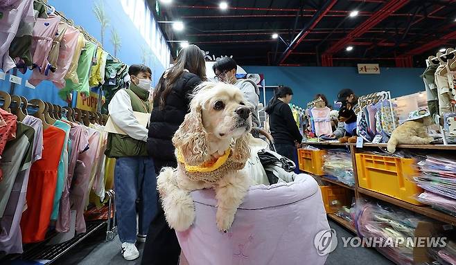 '이건 다 뭐냐 개' (서울=연합뉴스) 김주형 기자 = 22일 '국제 강아지의 날'을 앞두고 한국펫사료협회 주최로 서울 강남구 대치동 세텍에서 열린 반려동물 산업 박람회 '2026 케이펫페어 세텍'을 찾은 반려인들이 전시장을 둘러보고 있다. 2026.3.22 kjhpress@yna.co.kr