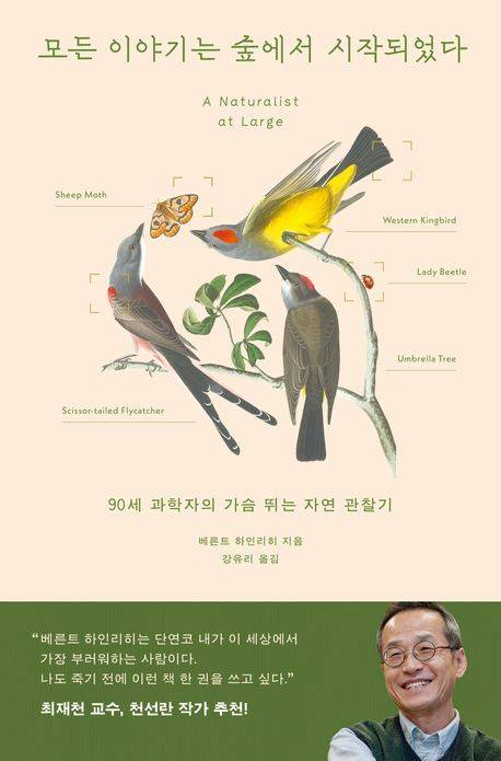 모든 이야기는 숲에서 시작되었다 (윌북 제공)