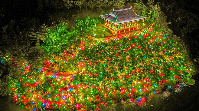 형산강 연등문화축제 / 사진=형산강 연등문화축제