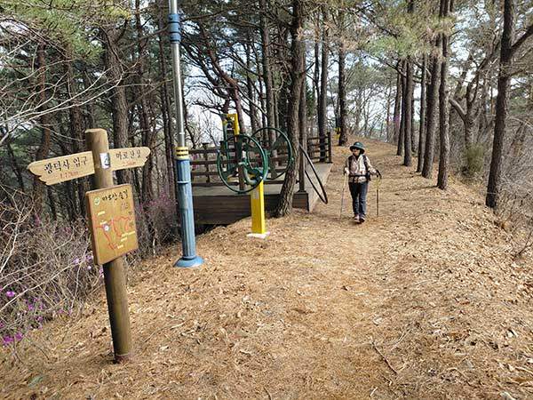 삼각점과 운동시설이 있는 마로산 정상
