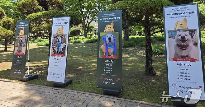 헌혈견들 사진과 이력을 담은 배너가 설치된 모습 ⓒ 뉴스1 한송아 기자