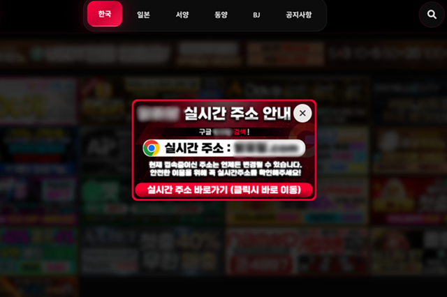 지난해 7월 개설된 불법 촬영물 사이트에는 여성들의 신체 부위가 적나라하게 노출된 영상들이 '여자친구', '와이프', '신혼부부', '화장실' 등의 제목과 함께 매일 십여개씩 올라왔다. 포털 검색을 통해 접속할 수 있던 이 사이트에 공개된 영상 수는 6800여개에 달했고, 조회수도 최대 40만회를 넘었다. /더팩트 DB