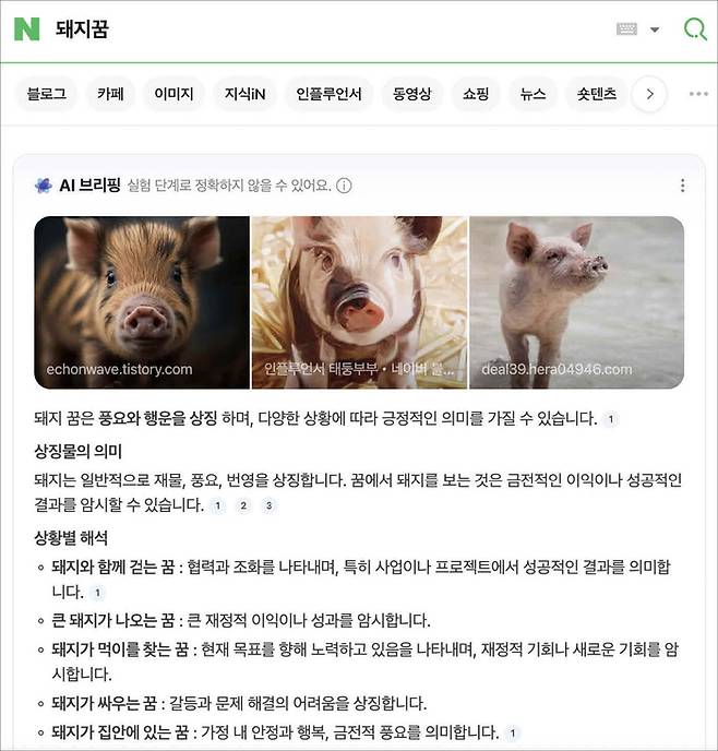 인터넷 사용자 대부분이 AI 검색과 포털 검색을 병행하는 것으로 밝혀지며 SEO와 GEO 병행 전략이 화두로 떠올랐다. 사진은 네이버 AI 브리핑. (네이버 제공)