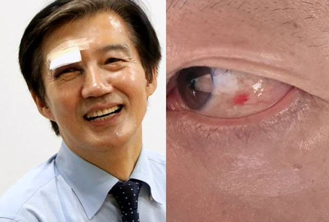 조국 후보, 김용남 후보 페이스북 캡처