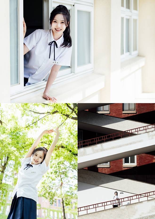 티브이데일리 포토