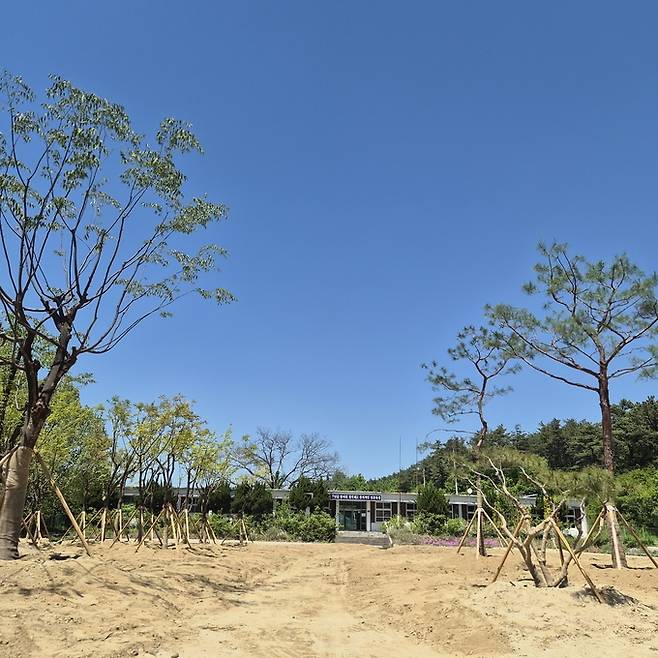 ▲ 대구시교육청 학교나무은행 조성 현장.
