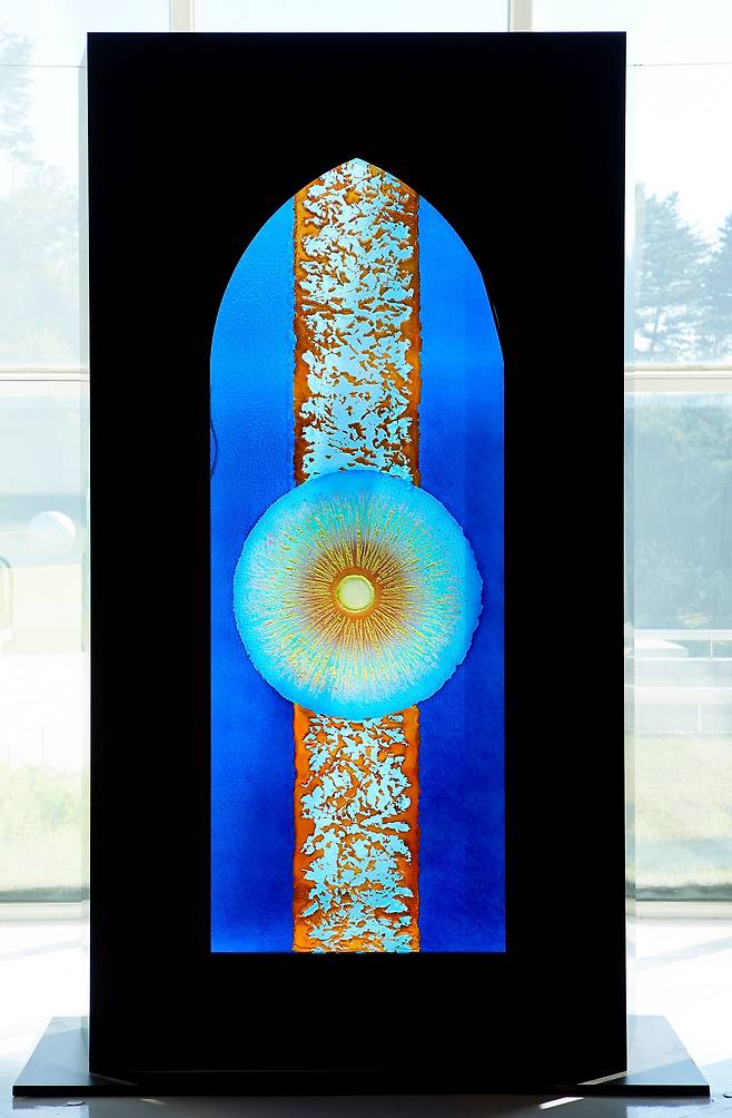 ���� ź��, 2019, �����ε�۶�, 270 �� 140��3.5 cm, �����̼���