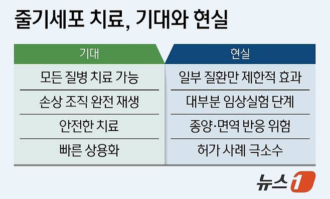 ⓒ 뉴스1 양혜림 디자이너