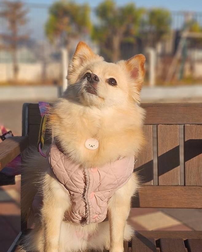 꾸미의 시선은 언제나 언니! 보호자 제공