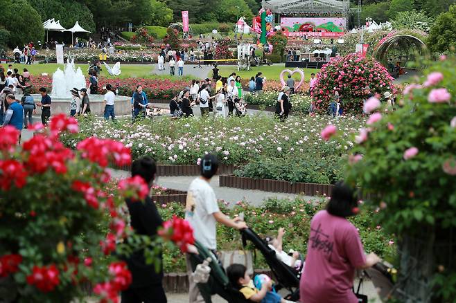 울산시와 SK이노베이션이 오는 20일부터 25일까지 울산대공원 장미원 일원에서 ‘2026 울산대공원 장미축제’를 개최한다. 사진은 지난해 축제 모습. [울산시 제공]