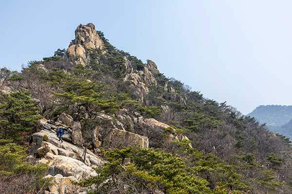 16세기 에스파냐 무적함대의 뱃머리를 닮은 학우봉.