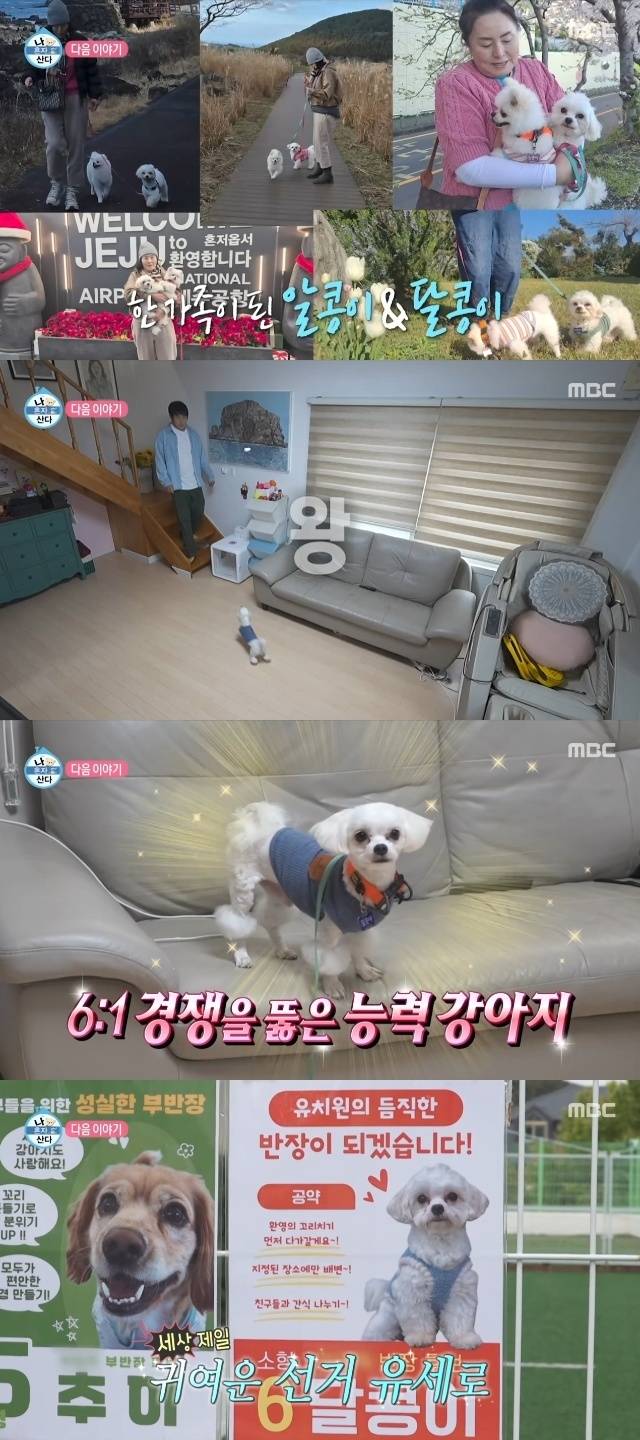 MBC ‘나 혼자 산다’ 캡처