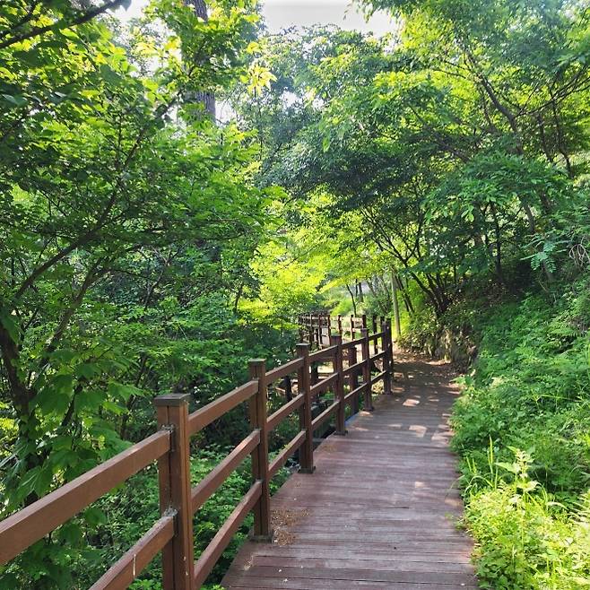 농월정 계곡 산책길