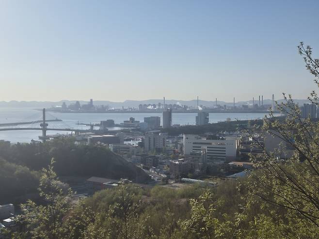 학산공원 정상서 바라본 송도대교, 포항제철소, 송도해수욕장 전경.