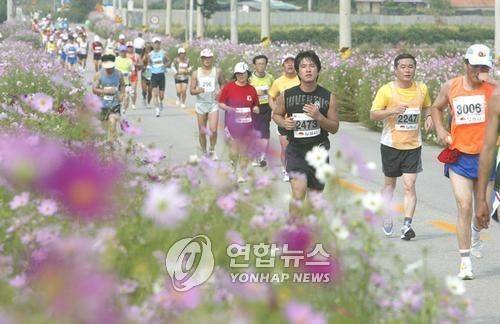 김제새만금 지평선 전국마라톤대회 [연합뉴스 자료사진]
