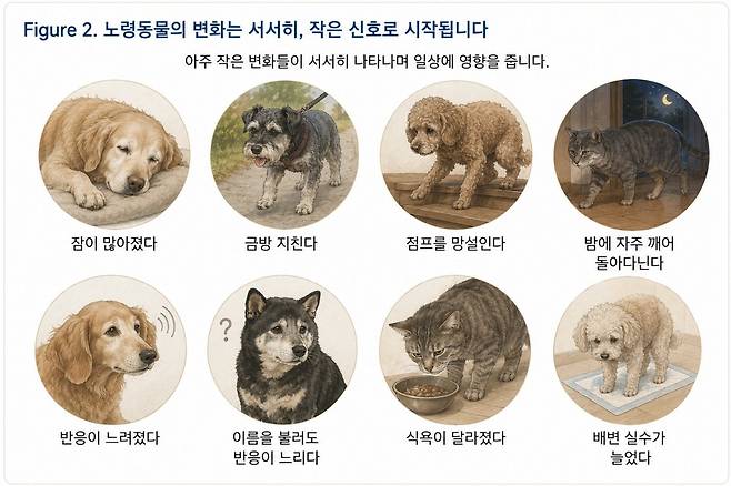 그래픽=연희동물의료센터 제공
