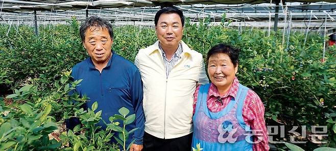 김호순 전북 서익산농협 조합장(가운데)이 공동선별출하회 회원 이원복씨(왼쪽), 최명례씨와 함께 웅포 블루베리를 소개하고 있다.