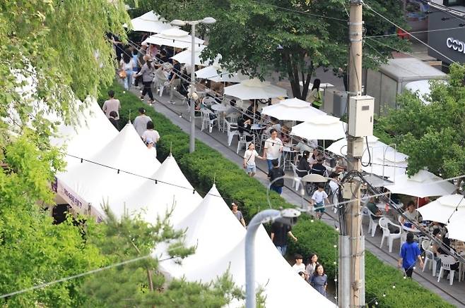 ‘경춘선 공릉숲길 커피축제’ 참가자들이 지난해 5월 서울 노원구 공릉숲길을 걷고 있다. 노원구 제공