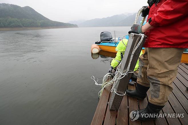 소양호 붕어 집단 폐사 원인은 (인제=연합뉴스) 박영서 기자 = 20일 강원 인제군 소양호 상류에서 국립환경과학원과 원주지방환경청 등 기후에너지환경부 산하기관 관계자들이 어민들과 함께 집단 폐사가 나타난 소양호 상류 곳곳을 둘러보며 수질을 측정하고 있다.
    사진은 수온, 용존산소(DO), 수소이온농도(pH), 전기 전도도(EC), 탁도를 측정하는 다항목 측정기 모습. 2026.5.20 conanys@yna.co.kr