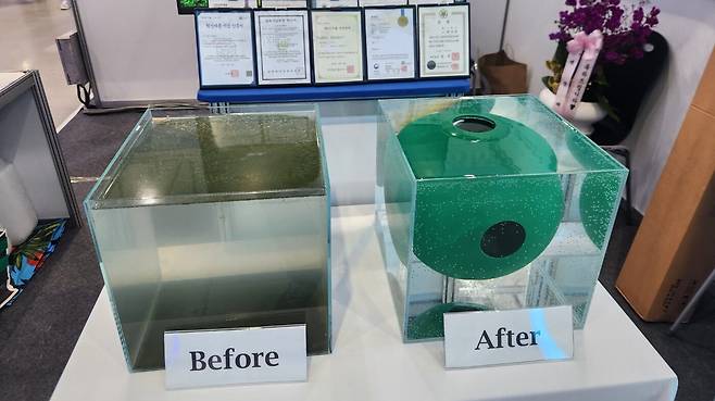 그린볼은 천연광물질을 고밀도 폴리에틸렌(HDPE) 지지체에 함침한 제품으로, 수면에 투입하면 물과의 접촉을 통해 녹조 성장을 억제하는 방식이다. 별도의 전력 공급이나 복잡한 설비가 필요하지 않아 공공 수역 관리 기관이나 농업용 저수지, 하천, 인공호수 등에서 적용 가능성을 제시했다. (사진=테크42)