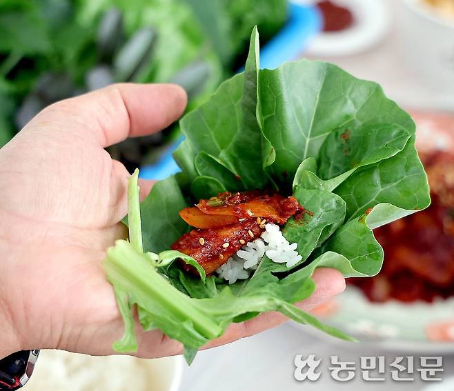 김훈 애벌레 농장 대표가 직접 차려낸 제육볶음과 갓 딴 쌈채소. 쌈채소에 따라 입안에 남는 고기 맛과 여운도 제각각이다. 사진=김도웅 프리랜서 기자