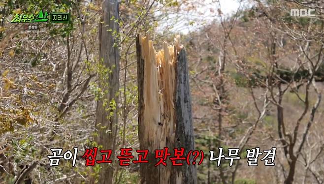출처:MBC '최우수산'